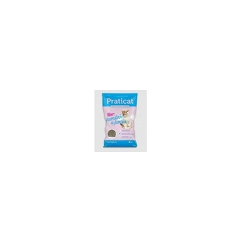 AREIA HIG P GATO PRATICAT QUERIDINHO FAMILIA 6X4KG