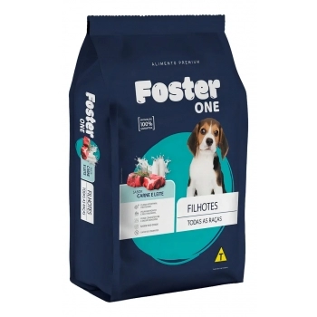 FOSTER ONE FILH CAR LEITE 10,1KG