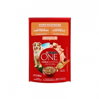 ONE CAES SUPER NUTRIENTES ADLT E FILH 15X85G XI